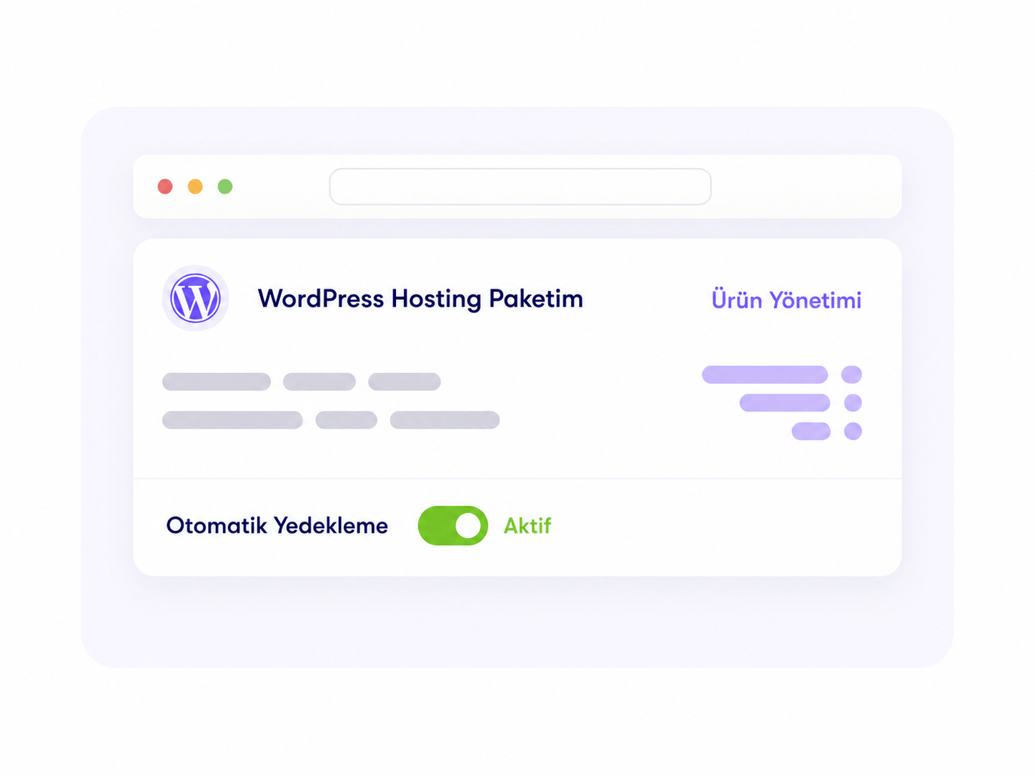 WordPress hosting paket karşılaştırma tablosu örneği