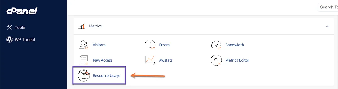 cPanel Resource Usage Ekranı