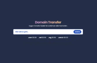 domain transferi