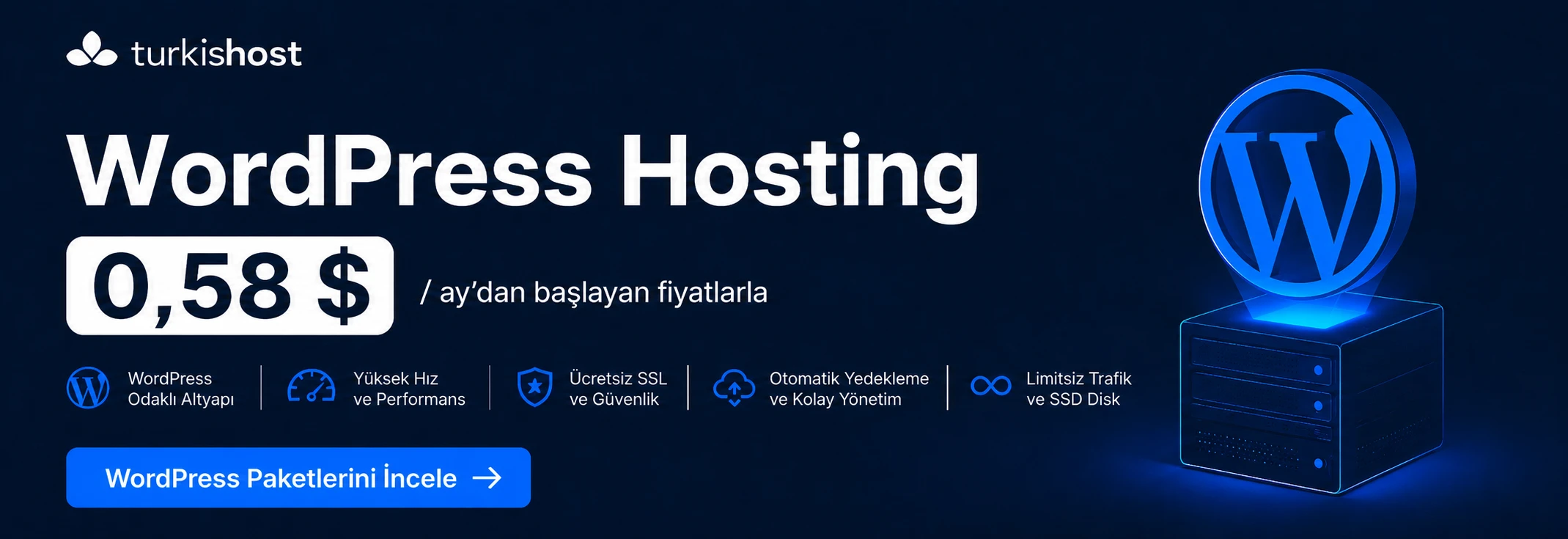 wordpress hosting