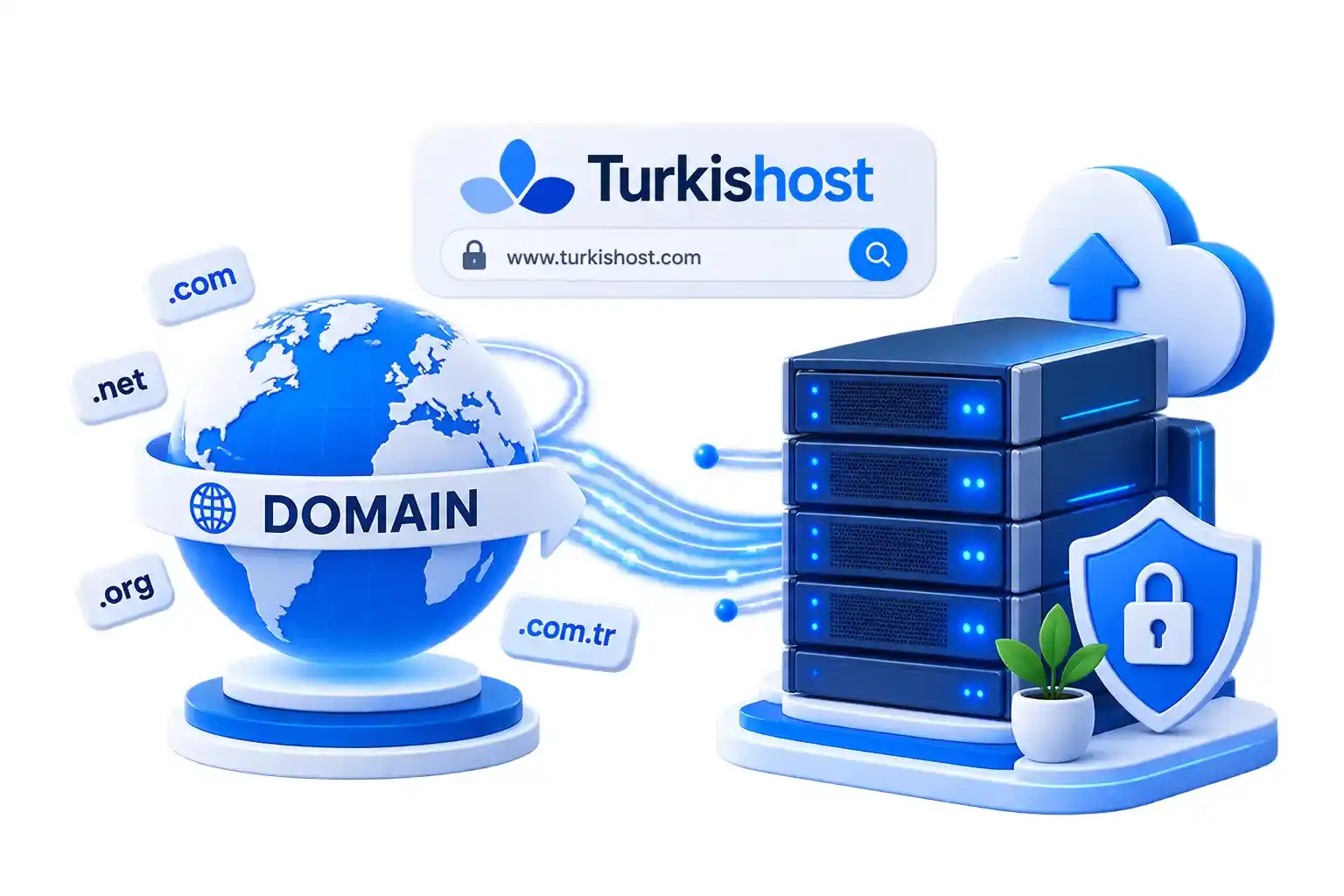 Alan Adı ve Hosting