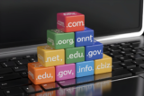Domain Nedir, Neden Kullanılır?